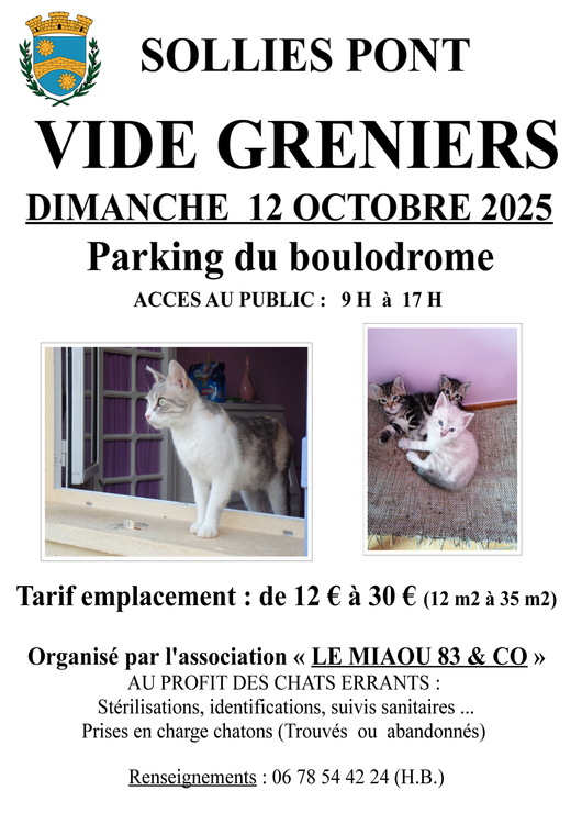 Vide-greniers Le Miaou Divers Parking du boulodrome