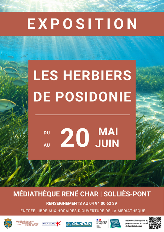 Exposition Les herbiers de posidonie Exposition Médiathèque René Char