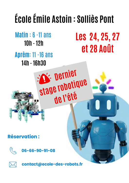 Stage robotique Divers Ecole Emile Astoin