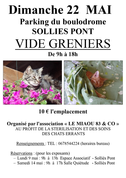 Vide grenier du Miaou Marché Boulodrome / Solliès-Pont