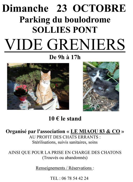 Vide-greniers Le Miaou 83 Marché Parking du boulodrome
