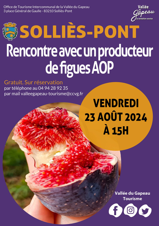 Rencontre avec un producteur de figues AOP Divers Solliès-Pont