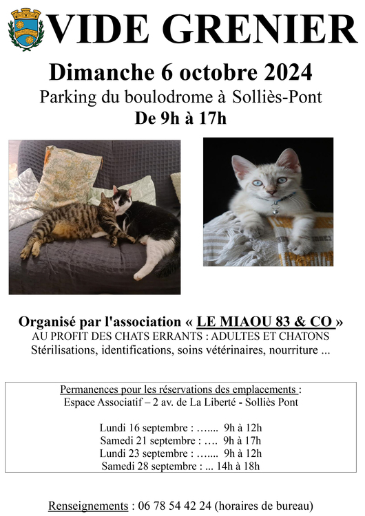Vide-grenier du Miaou Marché Parking du boulodrome