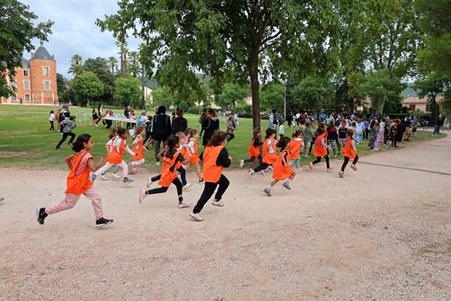 https://www.ville-sollies-pont.fr/photo/img/actualites/2025/cross_Mistral/Cross_Mistral_(2).jpg?time=1760343844701