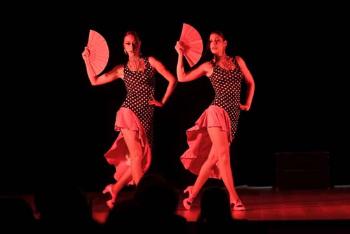 https://www.ville-sollies-pont.fr/photo/img/actualites/2026/Farlight_soir%C3%A9e_cabaret_8.05/farlight_(13).jpg?time=1778585748156